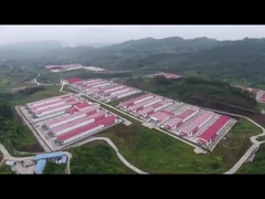 แบนเนอร์