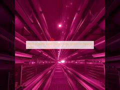 80000 ระบบกรงไก่ชั้นอนามัยสําหรับฟาร์มปากีสถาน