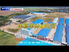 ฟาร์ม 12 ชั้น 6 แถว