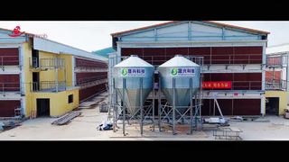 ฟาร์มร็อบ | โครงการเลี้ยงไก่ไข่ 4 ล้านตัวในมณฑลกวางตุ้ง ทางตอนใต้ของจีน