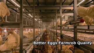3-farmrob-กรงฟรี