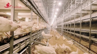 ระบบสวัสดิการ Farmrob