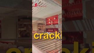 ฟาร์มร็อบ | การยกไข่ที่มั่นคง